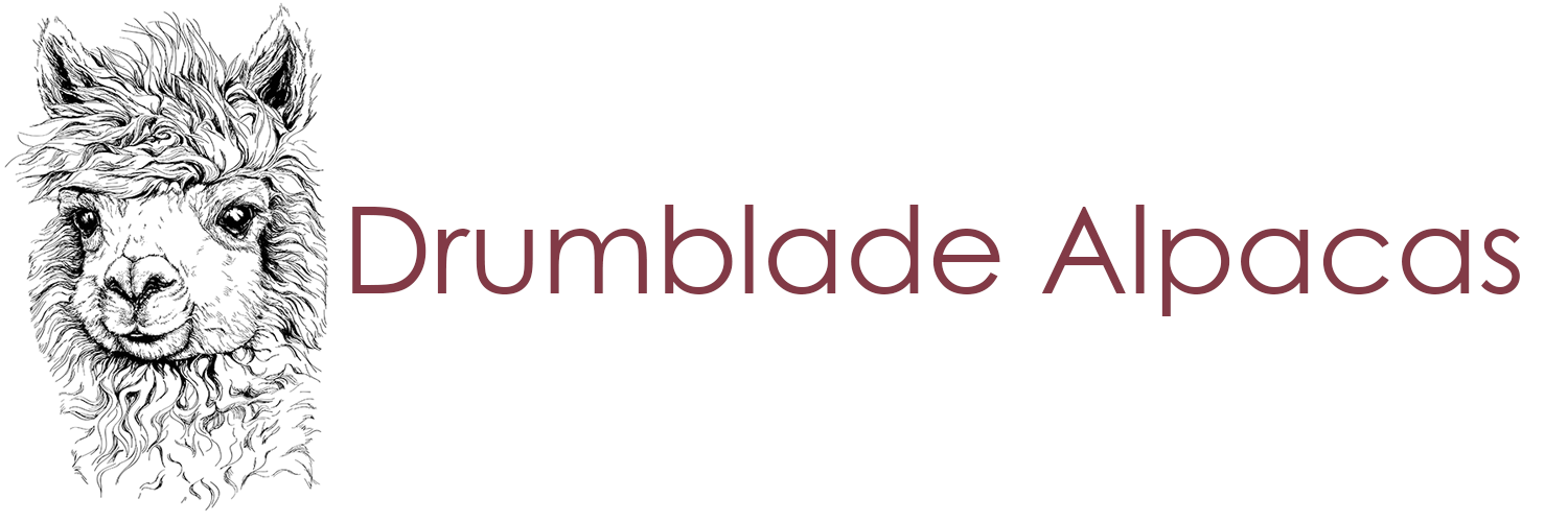 LOGOB